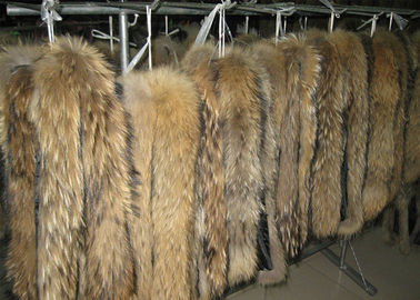 Chiny Szop pracz futerko garbowane szop pracz prawdziwy futro skóra długie włosy chiński szop pracz dostawca