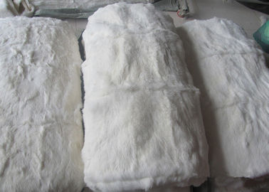 Chiny Strona główna Tekstylia Real Rex Królikowa skóra Wiatroodporna Ciepła Zima Podszewka Coat dostawca
