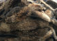 Natural Color Raccoon Kołnierz Futerkowa Sucha skóra Grad 70 - 105cm Dla odzieży / Tkaniny Domowej dostawca