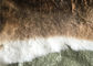 Tanned Grass Rex Królik Skin Fur Dostosowane do rozmiaru Akcesoria / Odzież dostawca
