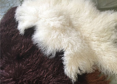 Chiny Długi kędzierzawy materiał z owczej skóry Naturalne białe tybetańskie wełniane futro z mongolskich skór dostawca