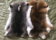 Chiny Tanned Grass Rex Królik Skin Fur Dostosowane do rozmiaru Akcesoria / Odzież firma