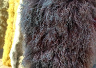 Prawdziwe długie włosy Owcza Oryginalna mongolska owcza wełna owcza kędzierzawa