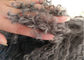 Salon 16 cali Mongolska poduszka z futra Długie kręcone włosy z podszewką z mikro zamszu dostawca